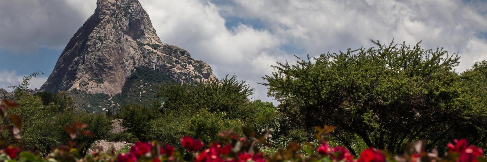 Peña de Bernal